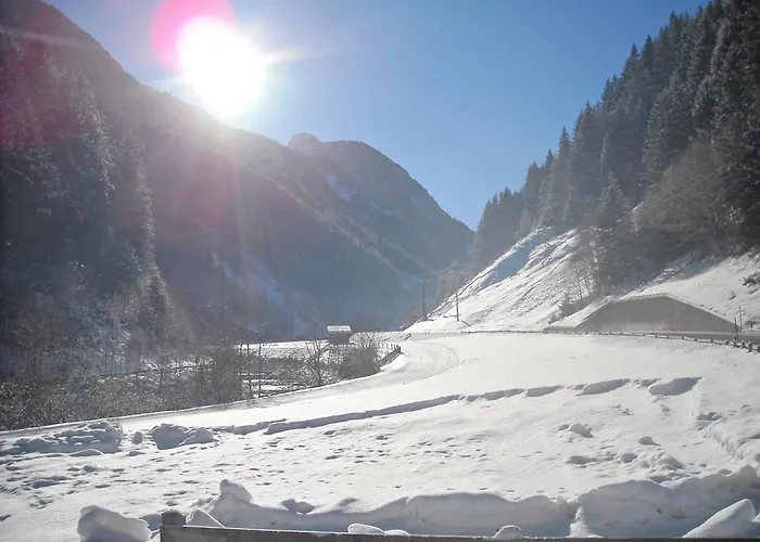 Appartementhaus Gleirscher 施图拜河谷新施蒂夫特